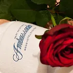 Ambassador Bosten Hotel 4*