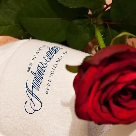 Ambassador Bosten Hotel 4*